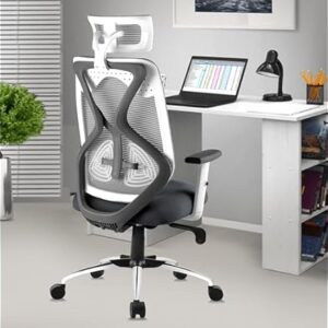 ASTRIDE Ergofit Ergonomic Office Chair for Home 3-Years Warranty
